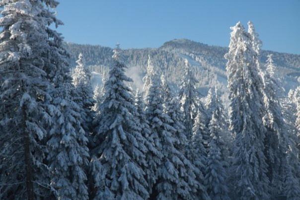 Aparthotel Borovets Gardens Exterior photo