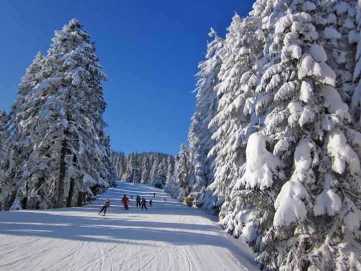 Aparthotel Borovets Gardens Exterior photo